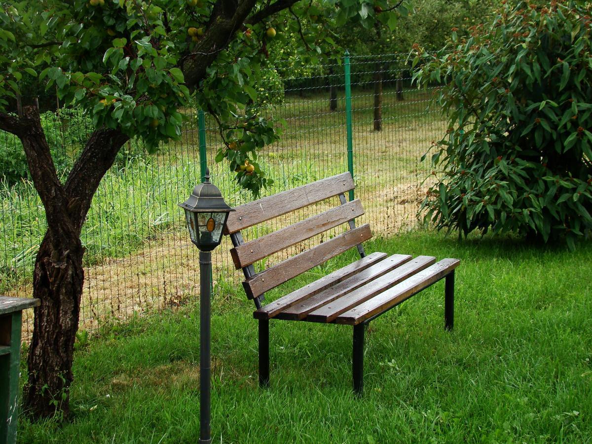 Argeselu Garden Villa - Entire Floor Apartment, Exclusive Garden Access Maracineni Quarto foto