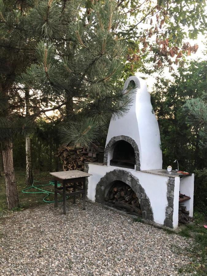 Argeselu Garden Villa - Entire Floor Apartment, Exclusive Garden Access Maracineni Exterior foto