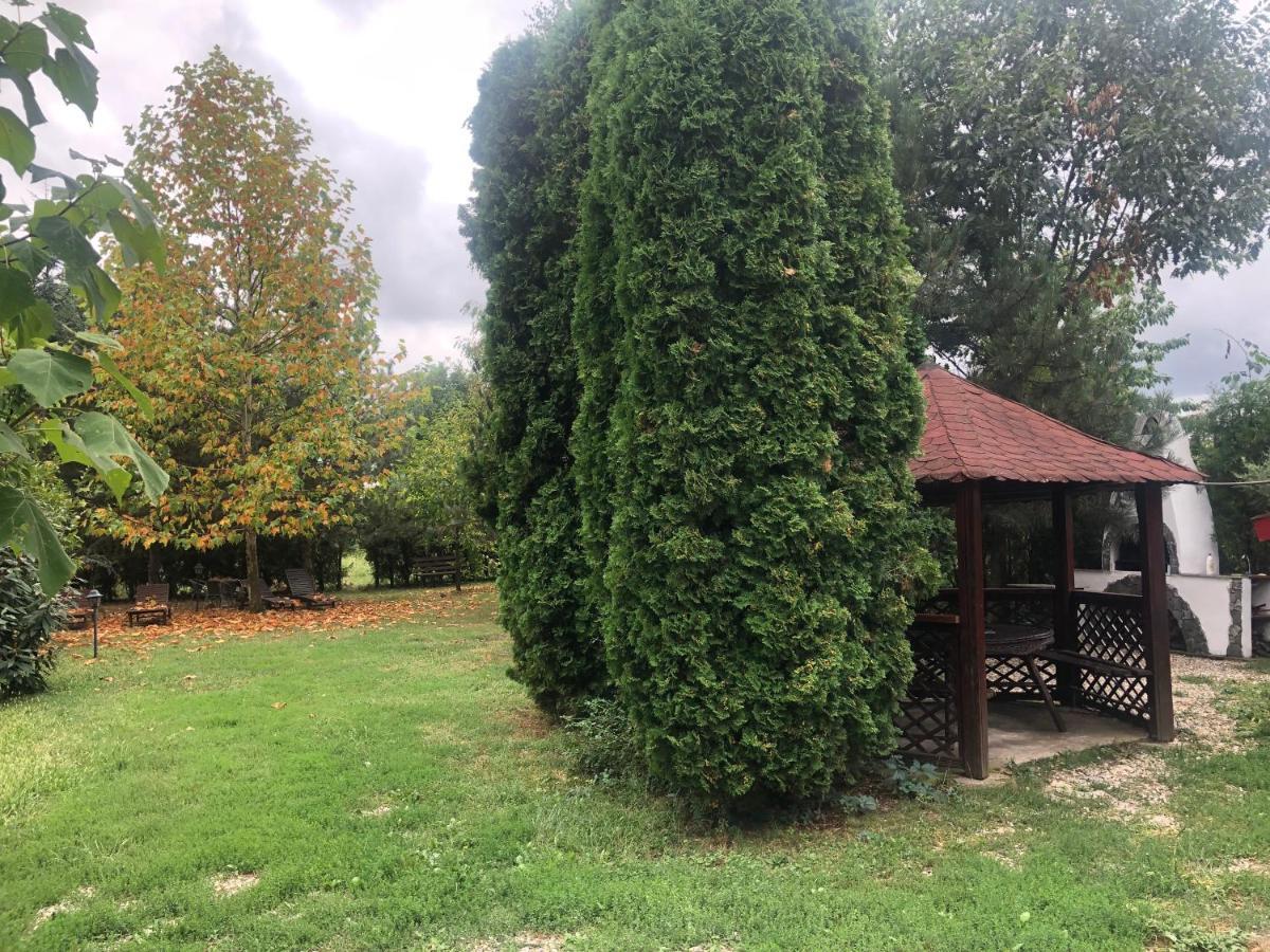 Argeselu Garden Villa - Entire Floor Apartment, Exclusive Garden Access Maracineni Exterior foto