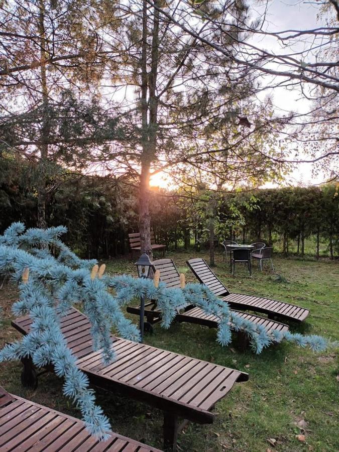 Argeselu Garden Villa - Entire Floor Apartment, Exclusive Garden Access Maracineni Exterior foto