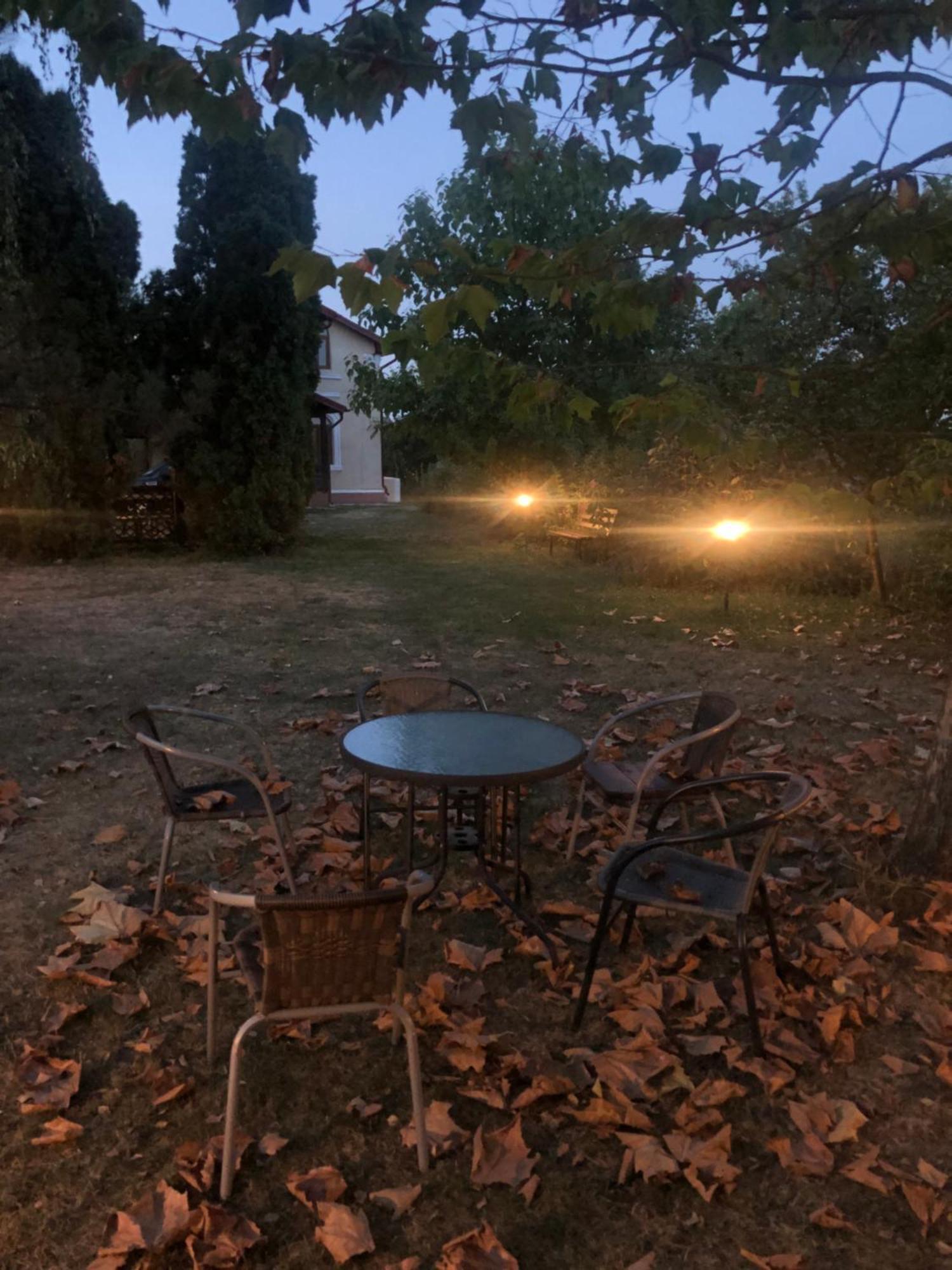 Argeselu Garden Villa - Entire Floor Apartment, Exclusive Garden Access Maracineni Exterior foto