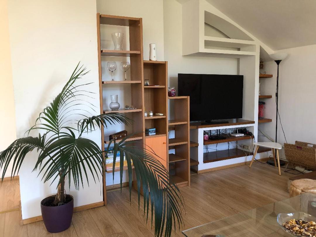 Argeselu Garden Villa - Entire Floor Apartment, Exclusive Garden Access Maracineni Exterior foto